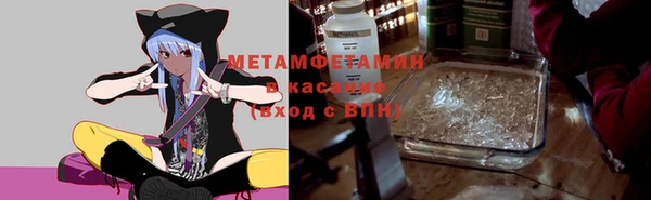 ГАЛЛЮЦИНОГЕННЫЕ ГРИБЫ Вяземский