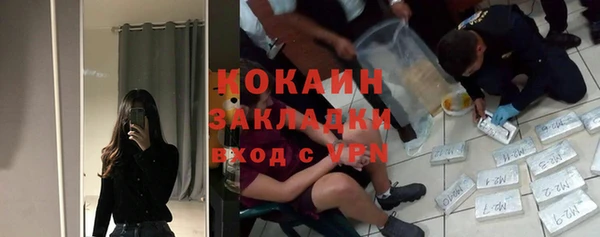ГАЛЛЮЦИНОГЕННЫЕ ГРИБЫ Вяземский