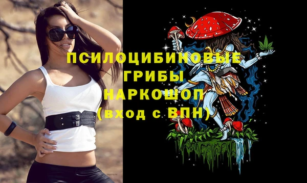 mdpv Вязьма