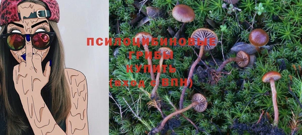 хмурый Вязники