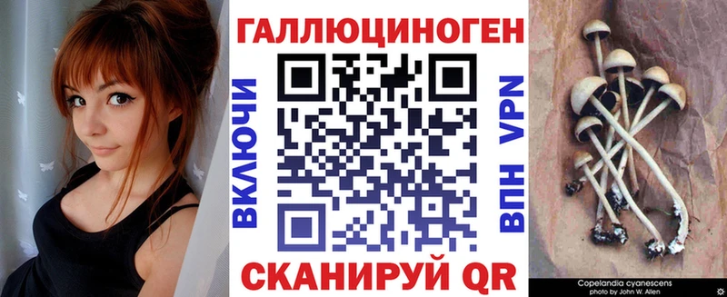 Псилоцибиновые грибы Psilocybe  Чухлома 